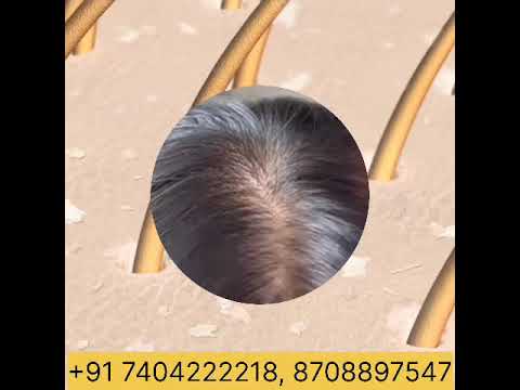 Econature Argan Shampoo