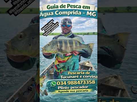 Agende sua pescaria no nosso Rio Grande próximo a uberaba-mg #corvina #tucunare #guiadepesca #rio