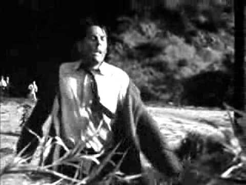 Invasion Of The Body Snatchers - Ending.wmv