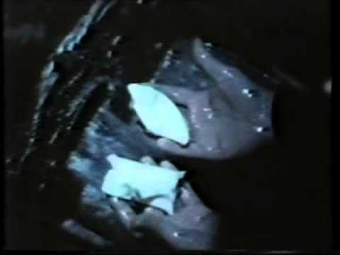 TVS Continuity & Adverts - 19th April 1988