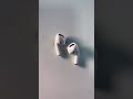 WuLm_nlJObs/default.jpg