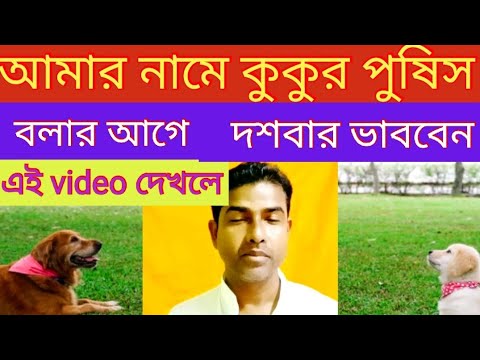 why having a pet dog is good?Amar name kukur poshis bolar age 10bar vabben eti dekhle@kulaviarup