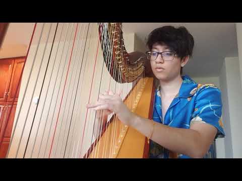 Calming Minecraft Music - Subwoofer Lullaby, Sweden, & Wet Hands - Harp Cover