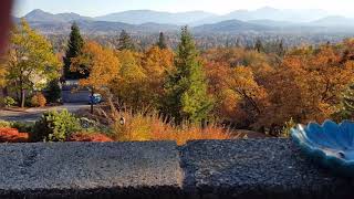 Fall evening video By Hailee age 4