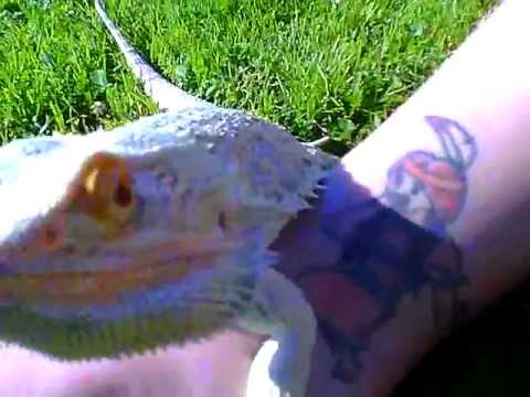 Pretty Girl Indian tattoo