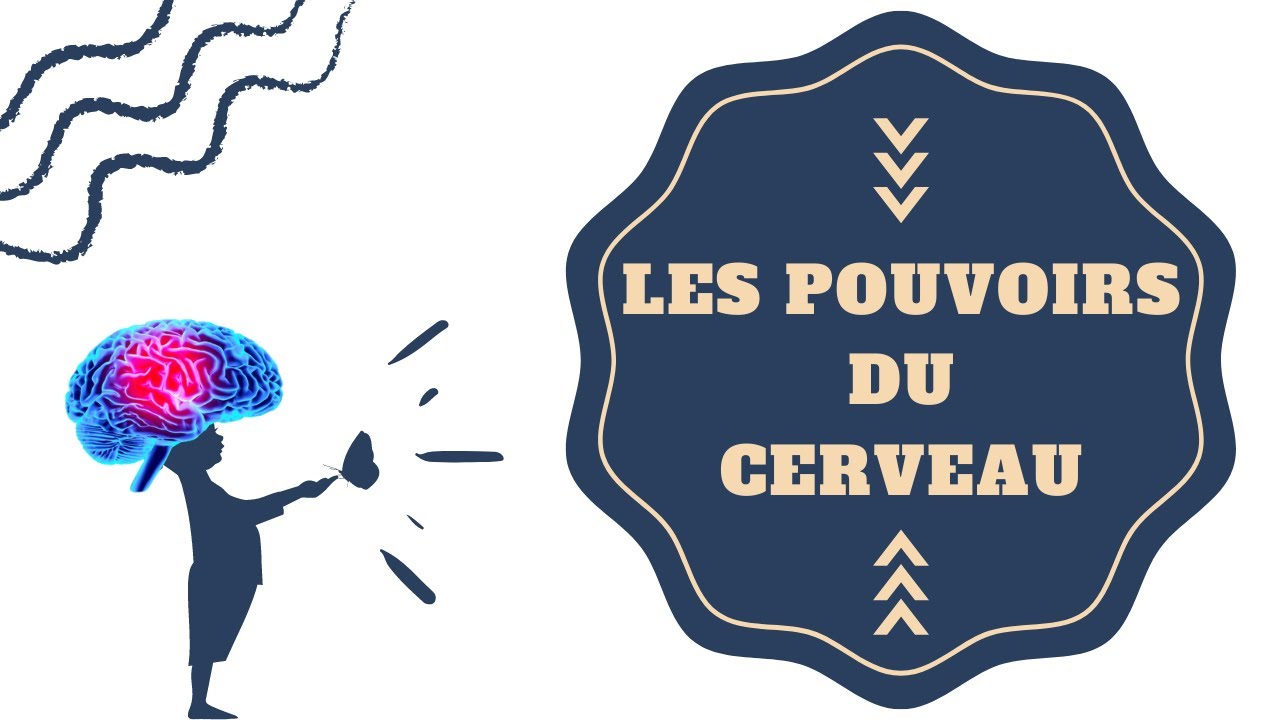 Les super-pouvoirs du cerveau : notre intelligence mise en lumière | ARTE