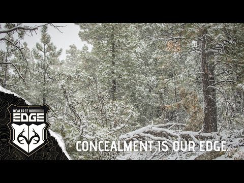 Realtree EDGE: New Camouflage Allows You To Effectively Dominate Geographic Elements