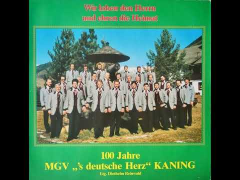MGV Kaning - Die Nachtigall