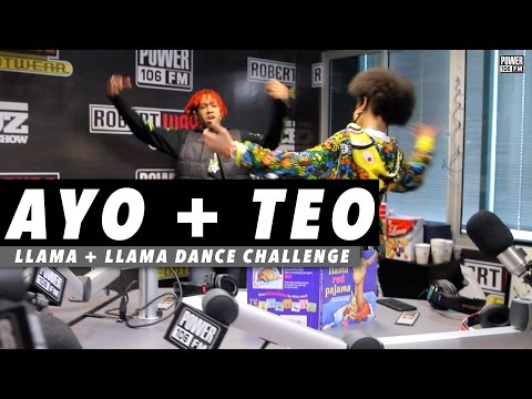Ayo & Teo Rolex | Llama Llama Dance Challenge