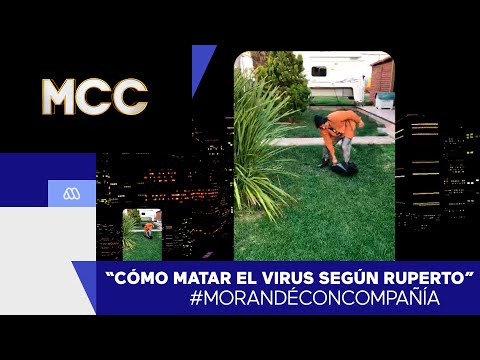 #MorandéConCompañía / Cómo matar el virus según Ruperto / #Mega