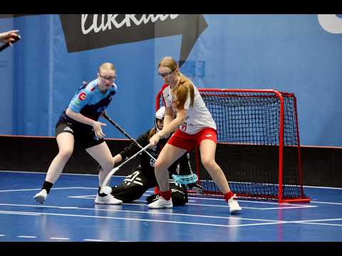 T21 SM Stars - HämeStsrs