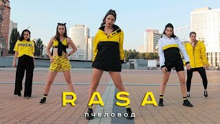 RASA - Пчеловод (2019) RASA - Пчеловод (2019)