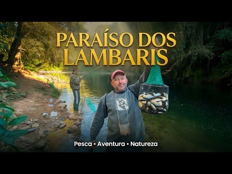 Pescaria de lambaris em Guaraqueçaba 😎