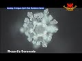 MASARU EMOTO -WATER & EMOTION