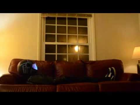 Post Modern Video: Daft Punk Digital Love (Algeronics Rmx)