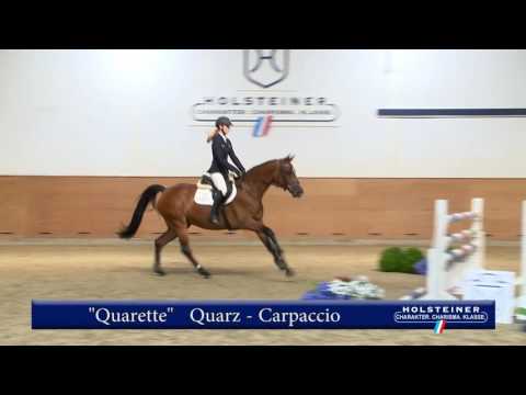 141. Quarette v. Quarz - Carpaccio