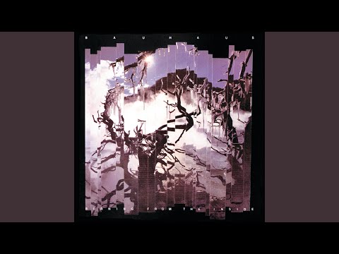 Hope video