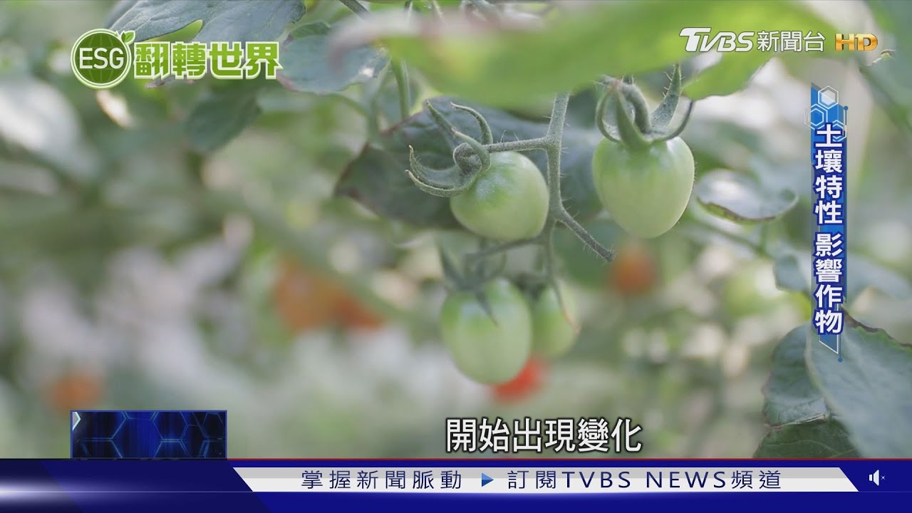 地球第二大的天然碳庫! 維持土壤健康需靠友善耕作