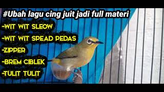 Download lagu Masteran pleci nembak full isian Komplit Berkelas‼️Gacor pedas mp3 Download lagu Masteran pleci nembak full isian Komplit Berkelas‼️Gacor pedas mp3