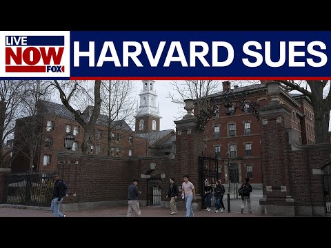 Video | Harvard University files lawsuit against Trump administration over $2.2 billion funding freeze