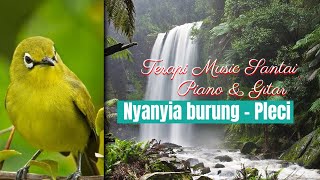 Download lagu Terapi Musik Santai Nyanyi Burung - Musik Piano & Pleci mp3 Download lagu Terapi Musik Santai Nyanyi Burung - Musik Piano & Pleci mp3