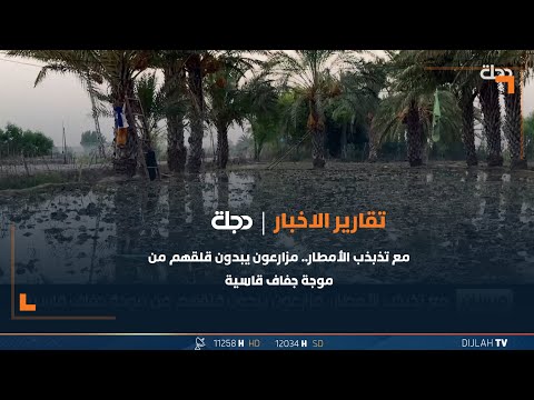شاهد بالفيديو.. مع تذبذب الأمطار.. مزارعون يبدون قلقهم من موجة جفاف قاسية