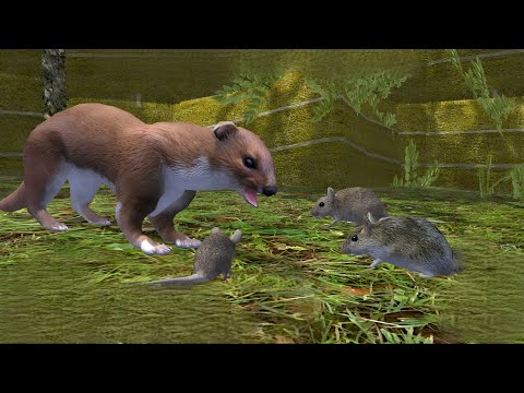 Mouse VS All Boss Ultimate Farm Simulator (By Gluten Free Games) - YouTube