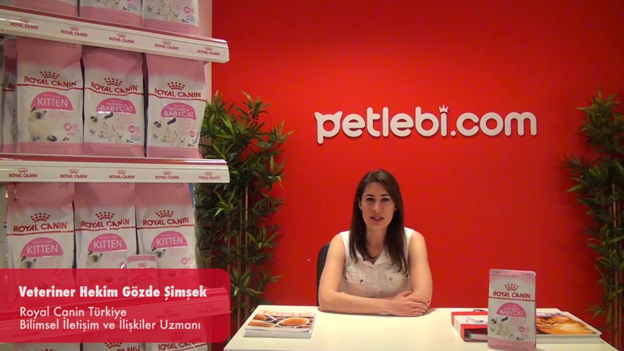 Royal Canin Kitten 36 Yavru Kedi Maması 4kg tanıtım video görseli