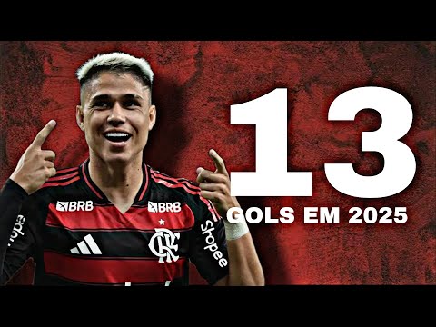 ALL 13 GOALS BY LUIZ ARAÚJO IN 2025