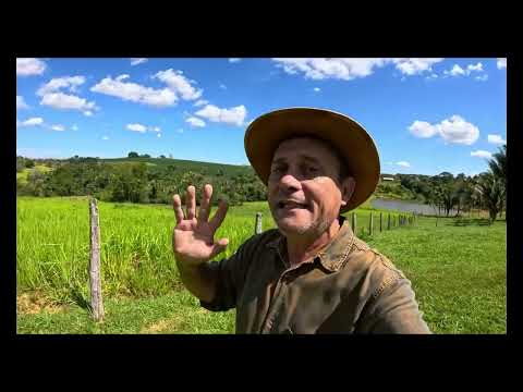 For Sale this 9.37 hectare farm - Deeded - Cocalzinho GO