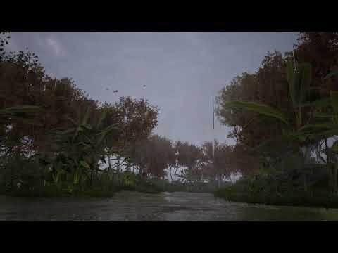 (EXNA) Expansion Natural - 1 hour sounds of the relaxing ( RAIN )