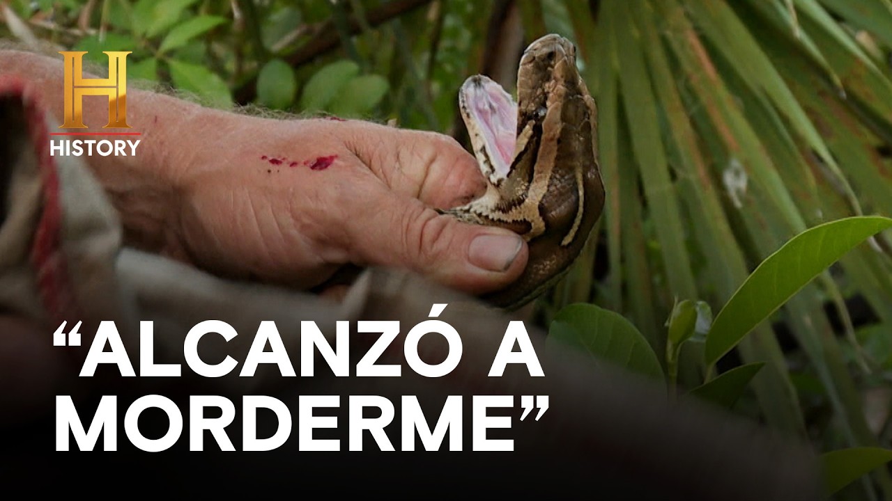 "ALCANZÓ A MORDERME" - AMOS DEL PANTANO