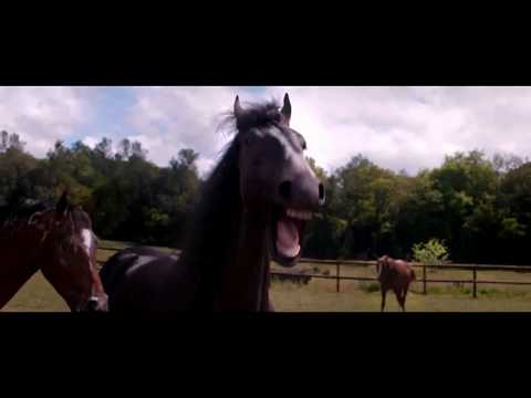 Laughing Horses vacuum food containers by Lasting Freshness
