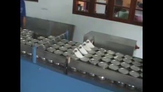 CASER เครื่อง บรรจุกระป๋องลงกล่อง