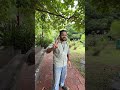 An Evening At Calicut Medical College Day In Life Of Final Year Mbbs