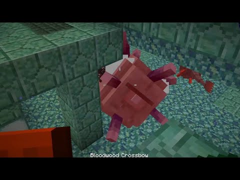 Ocean Monument | Minecraft Divine Journey 2 (ep78)