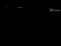 81 Screamers Burpers All At Once