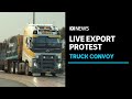 Truck convoy converges on Perth to protest end of live exports | ABC News