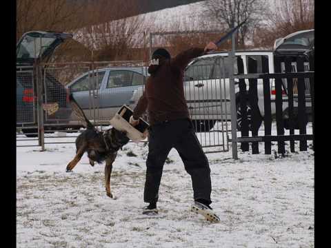 Aischa z Jukasu - defence