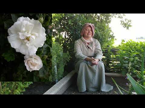 Kloka gumman i Örtagården del 1