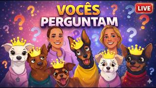 VOCÊS PERGUNTAM, A GENTE RESPONDE AO VIVO!
