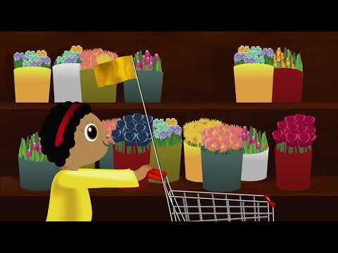 Binti at the supermarket (a flower for Mummy)