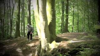 Porcupine tree - Synesthesia