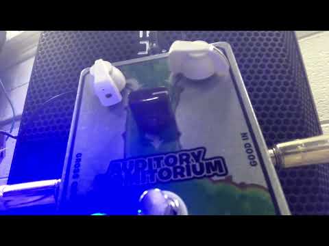 1/5/2022 Experiment POTAR Design Auditory Vomitorium