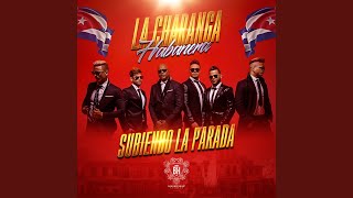 Si la Cabeza Le Dice a los Hombros