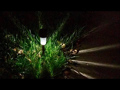 Solar Path Light at Best Price in India