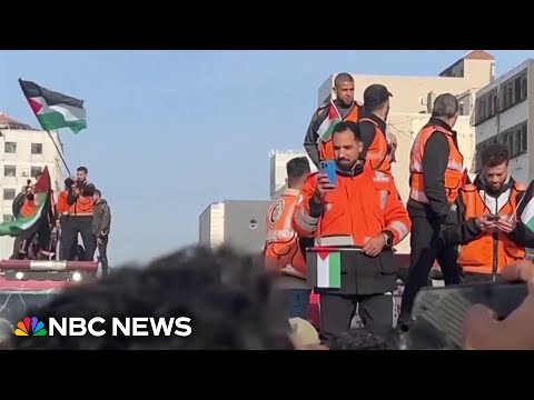 2025: A year of conflict, famine and truce in Gaza