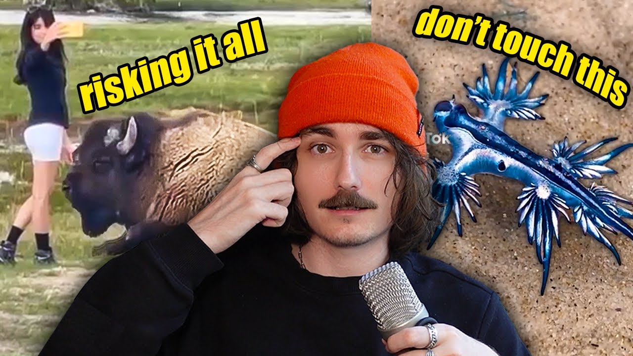 Please Stop Touching Wild Animals