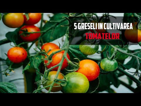 , title : '5 GREȘELI de evitat în cultivarea TOMATELOR'