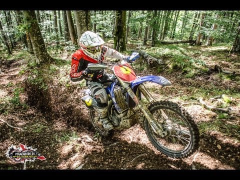 REGIMENT 13  -  PROLOG